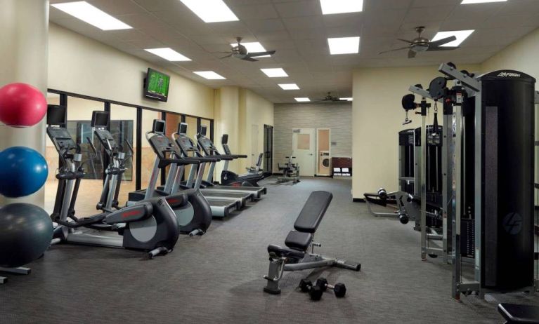 The hotel fitness center has an assortment of exercise machines, plus free weights and benches, and a wall-mounted TV.