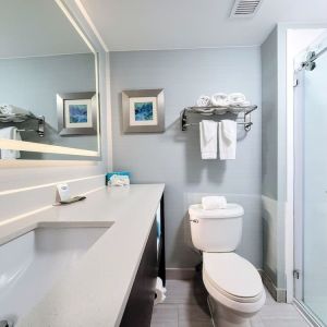 Private guest bathroom with shower at Holiday Inn Belcamp - Aberdeen Area.