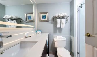 Private guest bathroom with shower at Holiday Inn Belcamp - Aberdeen Area.