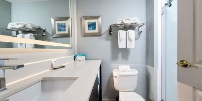 Private guest bathroom with shower at Holiday Inn Belcamp - Aberdeen Area.