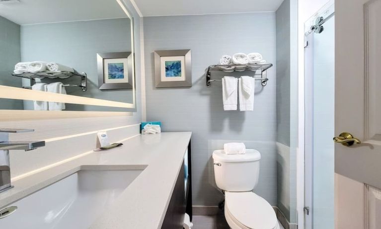 Private guest bathroom with shower at Holiday Inn Belcamp - Aberdeen Area.