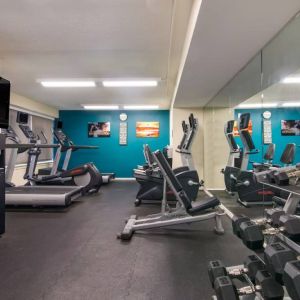 Sonesta ES Suites Chicago Downtown Magnificent Mile - Medical’s fitness center includes both free weights and a variety of exercise machines, and has a wall-mounted TV.