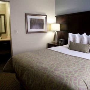 Double bed guest room in Sonesta ES Suites San Jose Airport, with bedside lamp and ensuite bathroom.