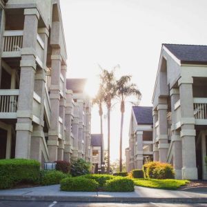 The hotel exterior features soaring palm trees and well-kept hedges and bushes close to the day rooms.