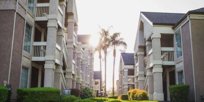 The hotel exterior features soaring palm trees and well-kept hedges and bushes close to the day rooms.