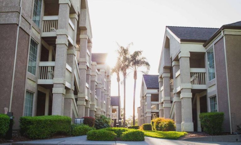 The hotel exterior features soaring palm trees and well-kept hedges and bushes close to the day rooms.