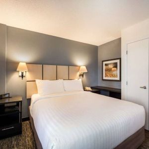 Sonesta Simply Suites Arlington double bed guest room, furnished with bedside cabinets and art on the walls.