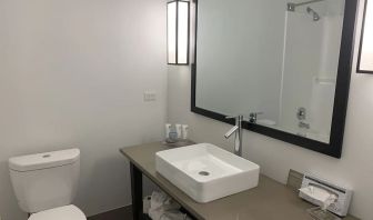 Guest bathroom with shower at Country Inn & Suites By Radisson, Chicago O'Hare South.