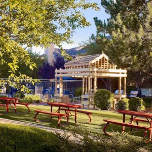 The picnic area at Sonesta ES Suites Flagstaff features benches on tables on grass, with trees and and barbecue facilities nearby.