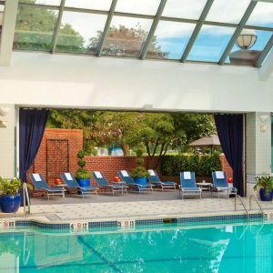 The indoor pool at Royal Sonesta Boston has plenty of natural light, with sun loungers and potted plants by the side.