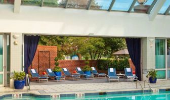 The indoor pool at Royal Sonesta Boston has plenty of natural light, with sun loungers and potted plants by the side.