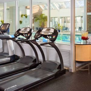 The hotel fitness center has numerous exercise machines and is adjacent to the indoor pool.