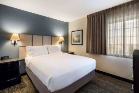 Sonesta Simply Suites Chicago Waukegan double bed guest room, featuring bedside lamps, art on the wall, and window.