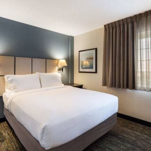 Sonesta Simply Suites Chicago Waukegan double bed guest room, featuring bedside lamps, art on the wall, and window.