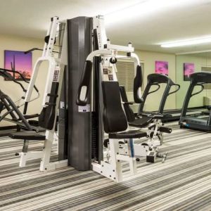 Sonesta Simply Suites Chicago Waukegan’s fitness center is equipped with free weights and various types of exercise machinery. 