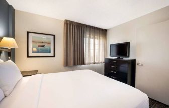 Double bed guest room in Sonesta Simply Suites Des Moines, featuring art on the wall, window, and TV.