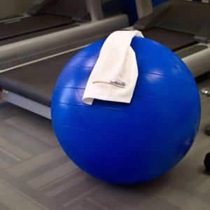 Sonesta ES Suites Atlanta - Perimeter Center North’s fitness center is equipped with gym balls, free weights, and exercise machines for guests to use.