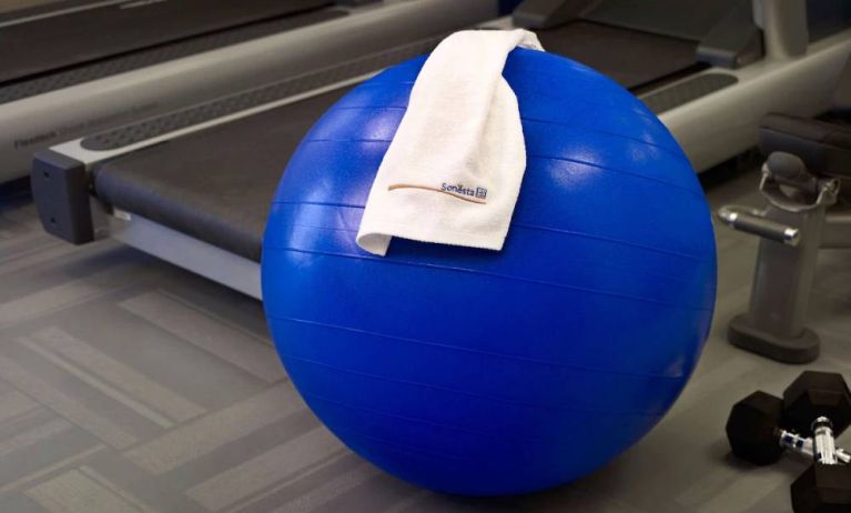 Sonesta ES Suites Atlanta - Perimeter Center North’s fitness center is equipped with gym balls, free weights, and exercise machines for guests to use.