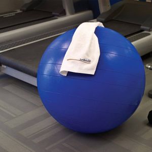 The hotel fitness center has exercise machines including treadmills, alongside equipment such as free weights, gym balls, and benches.