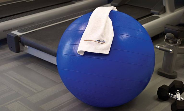 The hotel fitness center has exercise machines including treadmills, alongside equipment such as free weights, gym balls, and benches.