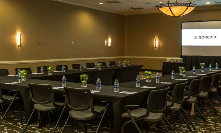 Professional meeting room at Sonesta Atlanta Northwest Galleria.