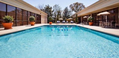 The hotel’s outdoor pool has potted plants by the side, in addition to shaded tables and chairs.