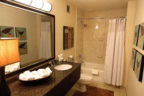 Sonesta Atlanta Airport North guest bathroom, furnished with bath and shower, lavatory, and sink and mirror, plus nature-themed art on the walls.