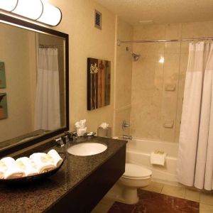 Sonesta Atlanta Airport North guest bathroom, furnished with bath and shower, lavatory, and sink and mirror, plus nature-themed art on the walls.