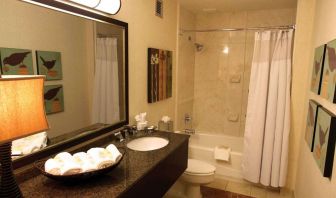 Sonesta Atlanta Airport North guest bathroom, furnished with bath and shower, lavatory, and sink and mirror, plus nature-themed art on the walls.