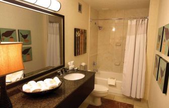 Sonesta Atlanta Airport North guest bathroom, furnished with bath and shower, lavatory, and sink and mirror, plus nature-themed art on the walls.