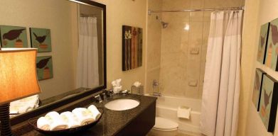 Sonesta Atlanta Airport North guest bathroom, furnished with bath and shower, lavatory, and sink and mirror, plus nature-themed art on the walls.