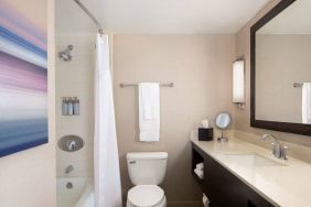 Guest bathroom in Sonesta San Jose, featuring bath with a shower, lavatory, and window and sink.