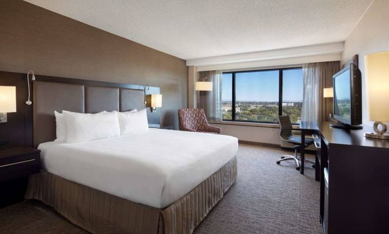 Double bed guest room Sonesta San Jose, with workspace desk and chair, armchair, TV, and window.