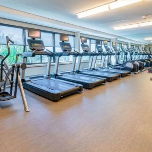 The fitness center in Sonesta San Jose is fully equipped with racks of free weights, benches, and assorted exercise machines including treadmills and ellipticals.