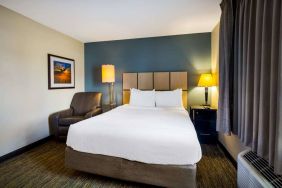 Sonesta Simply Suites St Louis Earth City double bed guest room, featuring bedside lamps, window, and armchair.