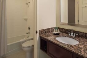 Sonesta Chicago O'Hare Airport Rosemont guest bathroom, furnished with shower and bath, lavatory, and sink.