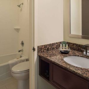 Sonesta Chicago O'Hare Airport Rosemont guest bathroom, furnished with shower and bath, lavatory, and sink.