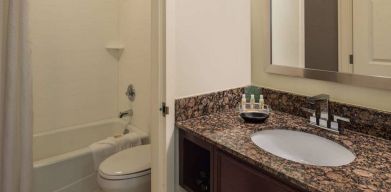 Sonesta Chicago O'Hare Airport Rosemont guest bathroom, furnished with shower and bath, lavatory, and sink.