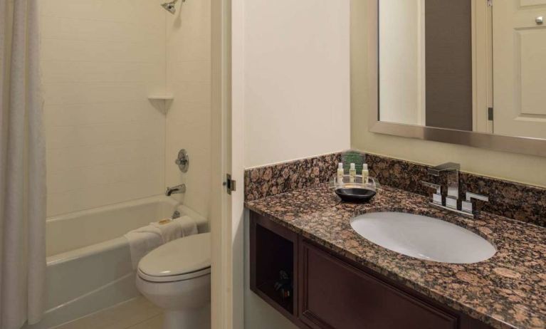 Sonesta Chicago O'Hare Airport Rosemont guest bathroom, furnished with shower and bath, lavatory, and sink.