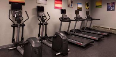 Sonesta Chicago O'Hare Airport Rosemont’s fitness center has artwork on the walls and machines such as treadmills and ellipticals.