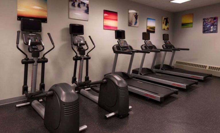 Sonesta Chicago O'Hare Airport Rosemont’s fitness center has artwork on the walls and machines such as treadmills and ellipticals.