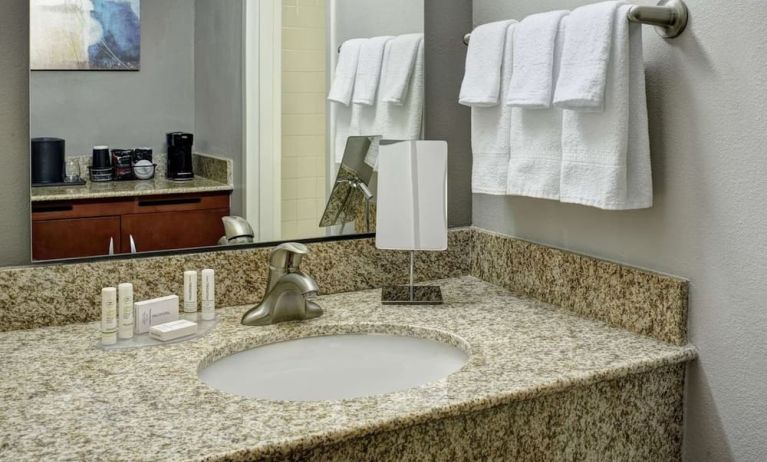 Guest bathroom at Sonesta Select Milwaukee Brookfield.