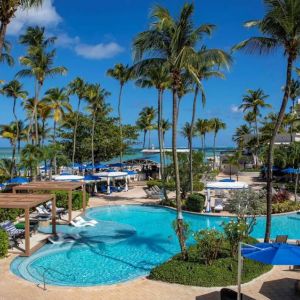 Royal Sonesta San Juan’s outdoor pool features sun loungers by the side and in shallow water, with towering palm trees all around.