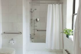 Guest bathroom in The Benjamin Royal Sonesta New York, featuring bath, shower, lavatory, and a small potted plant.