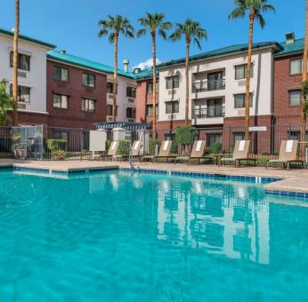 The hotel’s outdoor pool has loungers, as well as a table and chairs, by the side, plus towering trees beyond the fence.