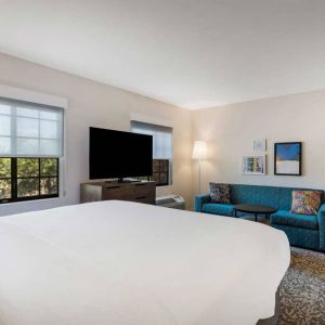 Sonesta ES Suites Denver South - Park Meadows double bed guest room, featuring sofa, widescreen TV, and two windows.