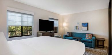 Sonesta ES Suites Denver South - Park Meadows double bed guest room, featuring sofa, widescreen TV, and two windows.