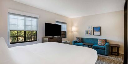 Sonesta ES Suites Denver South - Park Meadows double bed guest room, featuring sofa, widescreen TV, and two windows.