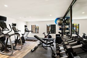 Sonesta ES Suites Denver South - Park Meadows’ fitness center is equipped with gym balls, free weights, and various exercise machines for guests to use.