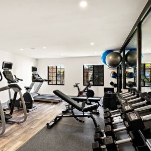 Sonesta ES Suites Denver South - Park Meadows’ fitness center is equipped with gym balls, free weights, and various exercise machines for guests to use.